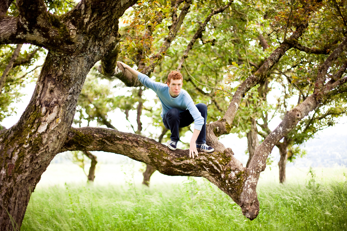 Tree climbing young man